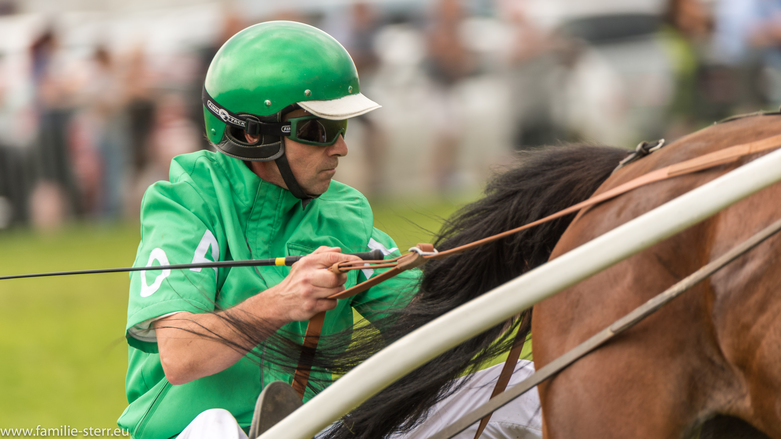 Trabrennen in Erding 2017